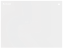 Tablet Screenshot of camaleon.ch